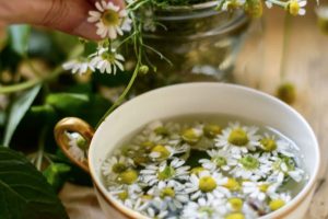 Diferencias entre la infusion, la decoccion y la tisana