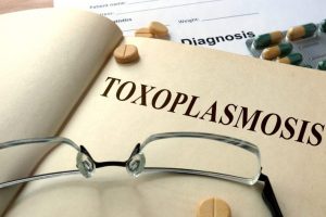 Toxoplasmosis