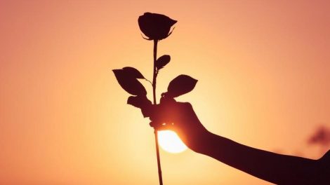 Beneficios de pedir perdón