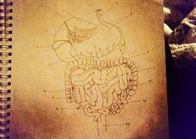 virus-de-estomago