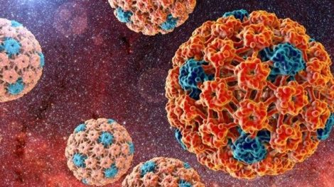 VPH o Virus del Papiloma Humano