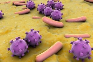 ¿Sabías que los virus y las bacterias no son lo mismo?