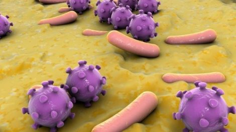 ¿Sabías que los virus y las bacterias no son lo mismo?