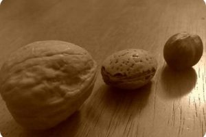 Las nueces o almendras ayudan a prevenir el cáncer de mama